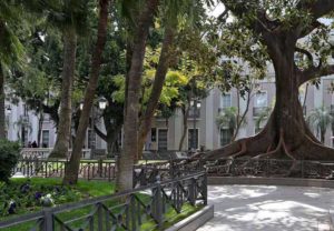 Plaza de Mina - Restaurante Balandro