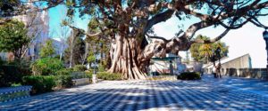 Plaza principal en Alameda Apodaca - Restaurante Balandro